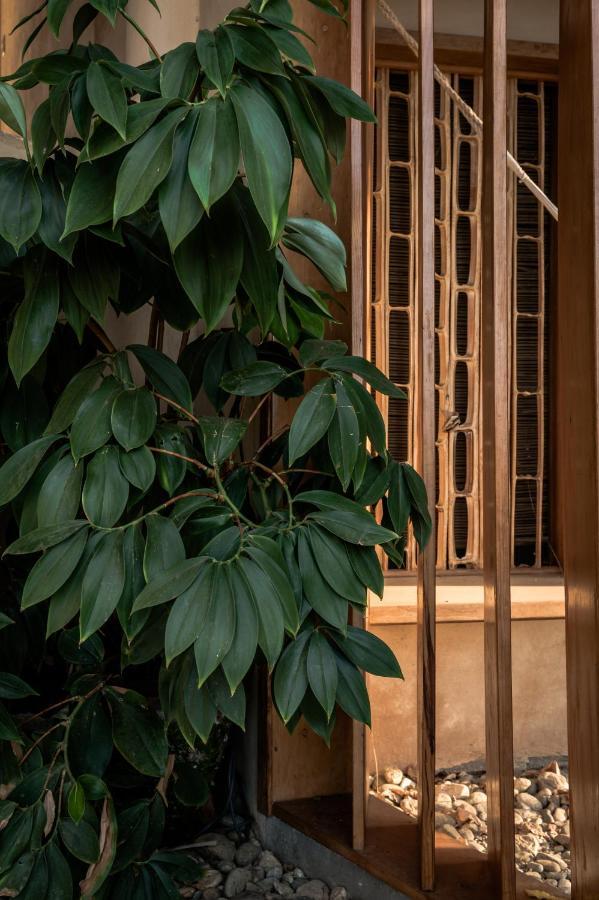 Nani Bed & Breakfast San Agustinillo Dış mekan fotoğraf